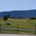 Apto Pirigolf & Pool Margas, * Sabiñánigo